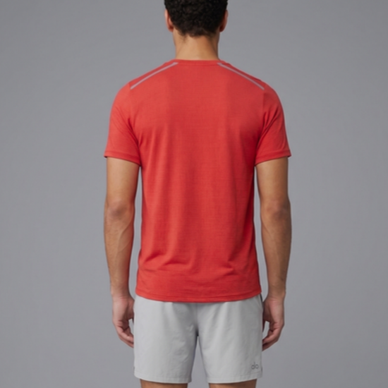 Article 1101 - Red - 5